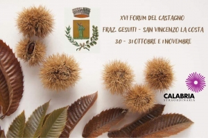 CONCORSO DI DISEGNO E POESIA PER LE SCUOLE IN OCCASIONE DEL XVI FORUM DEL CASTAGNO